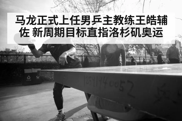 Ma Long table tennis